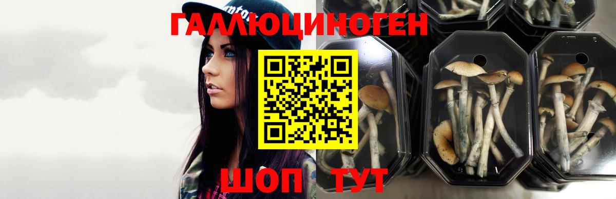 Псилоцибиновые грибы ЛСД  Вход с VPN  Кинель 